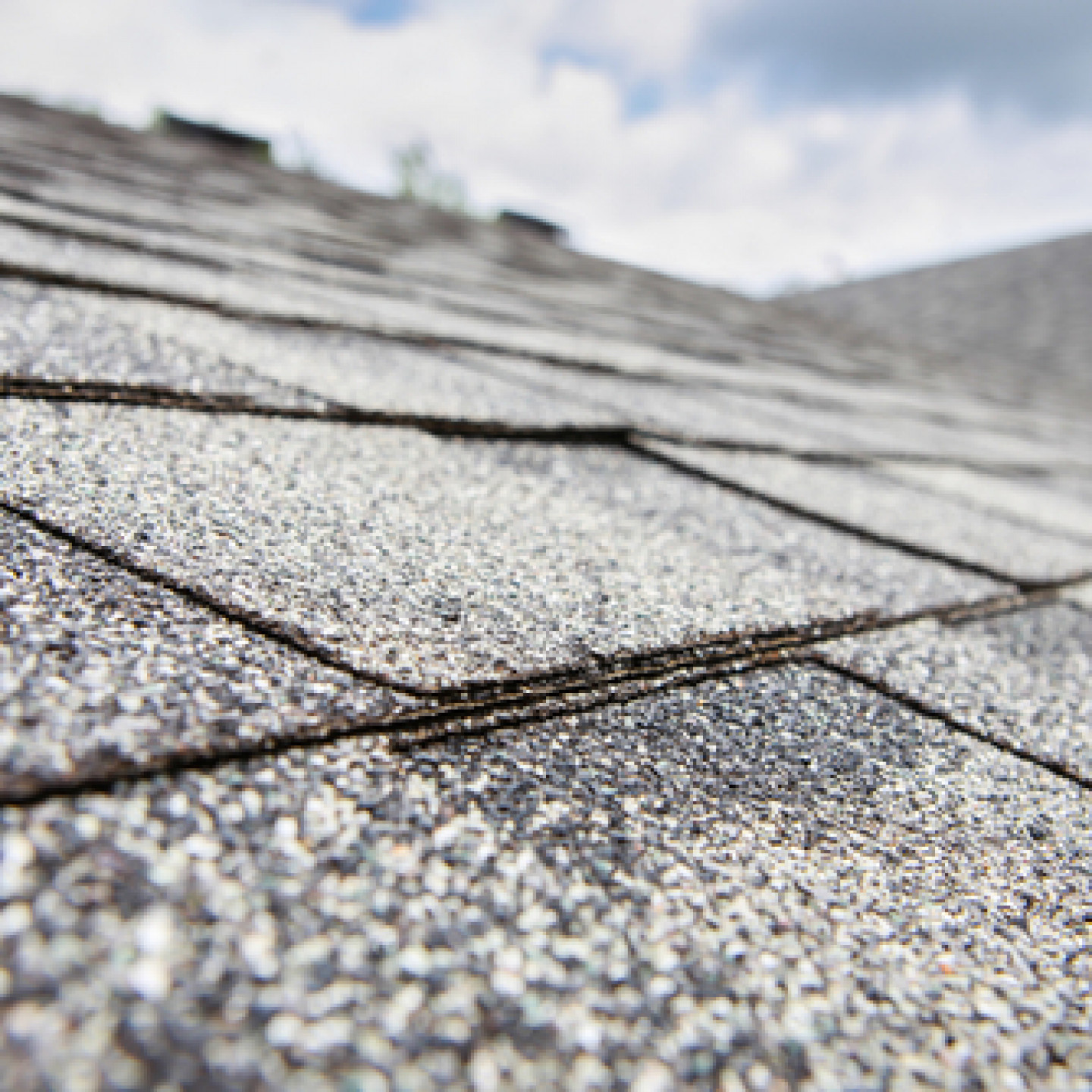 Roofing Jackson Home Builders, Inc.